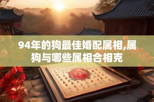 94年的狗最佳婚配属相,属狗与哪些属相合相克
