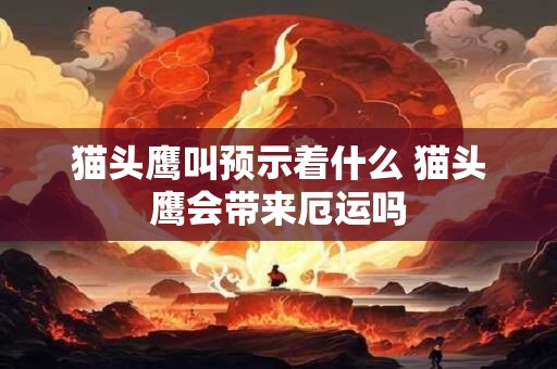 猫头鹰叫预示着什么 猫头鹰会带来厄运吗