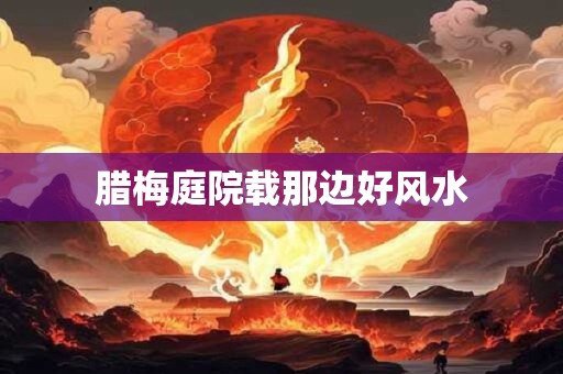 腊梅庭院载那边好风水