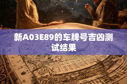 新A03E89的车牌号吉凶测试结果