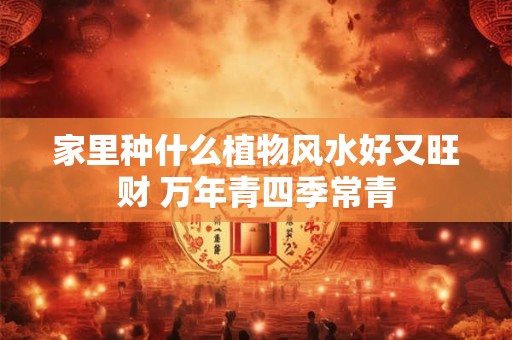 家里种什么植物风水好又旺财 万年青四季常青 家里种什么植物风水好又旺财 万年青四季常青