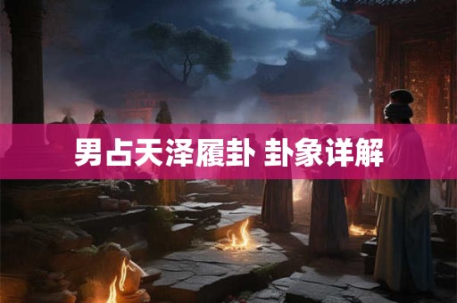 男占天泽履卦 卦象详解
