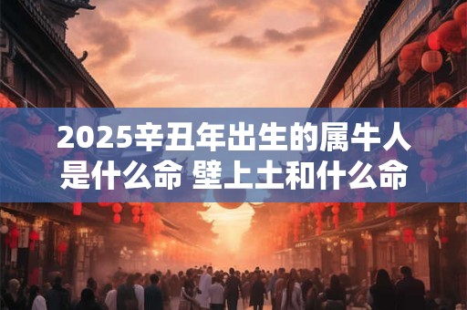 2025辛丑年出生的属牛人是什么命 壁上土和什么命最配