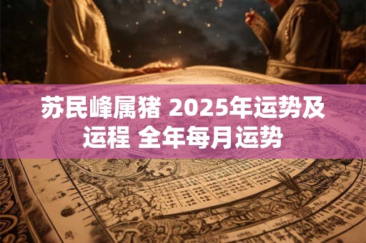 苏民峰属猪 2025年运势及运程 全年每月运势