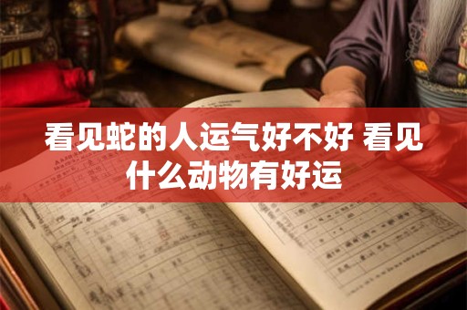 看见蛇的人运气好不好 看见什么动物有好运