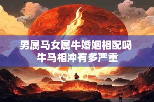 男属马女属牛婚姻相配吗 牛马相冲有多严重