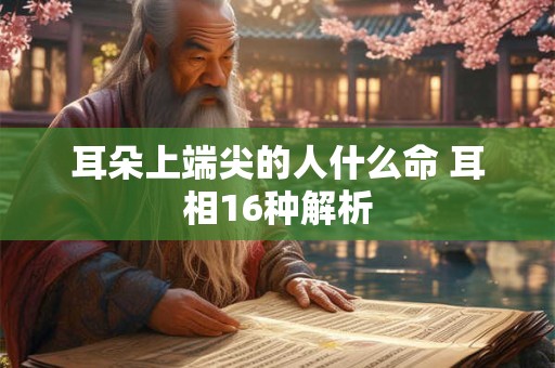 耳朵上端尖的人什么命 耳相16种解析 耳朵上端尖的人什么命 耳相16种解析