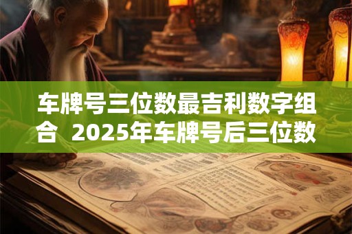 车牌号三位数最吉利数字组合  2025年车牌号后三位数最吉利的组合