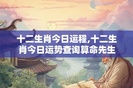 十二生肖今日运程,十二生肖今日运势查询算命先生