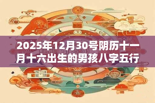 2025年12月30号阴历十一月十六出生的男孩八字五行起名字