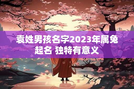 袁姓男孩名字2023年属兔起名 独特有意义