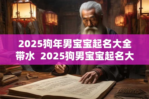 2025狗年男宝宝起名大全带水  2025狗男宝宝起名大全洋气两个字