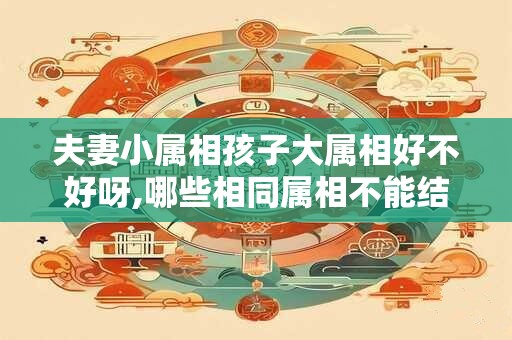 夫妻小属相孩子大属相好不好呀,哪些相同属相不能结婚