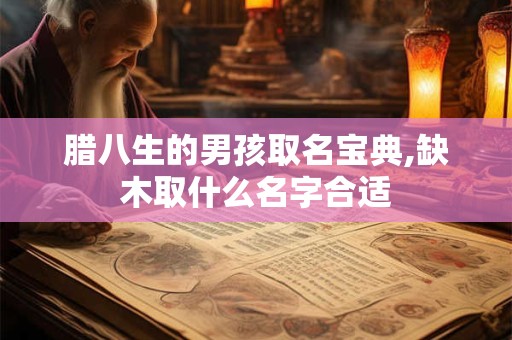 腊八生的男孩取名宝典,缺木取什么名字合适