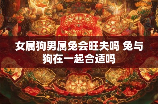 女属狗男属兔会旺夫吗 兔与狗在一起合适吗