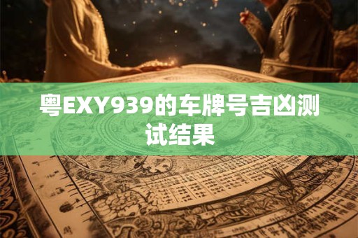 粤EXY939的车牌号吉凶测试结果