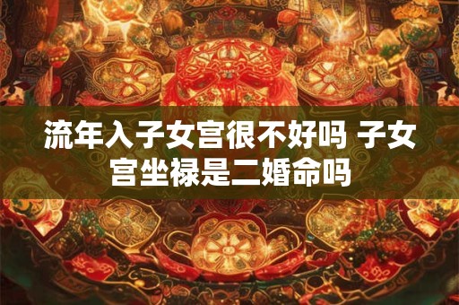 流年入子女宫很不好吗 子女宫坐禄是二婚命吗 流年入子女宫很不好吗 子女宫坐禄是二婚命吗