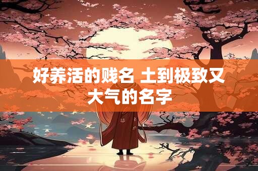 好养活的贱名 土到极致又大气的名字