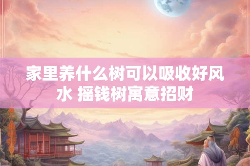 家里养什么树可以吸收好风水 摇钱树寓意招财