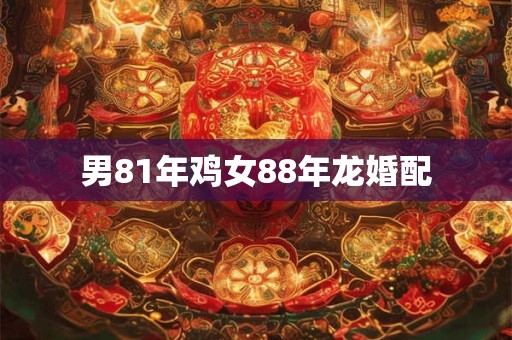 男81年鸡女88年龙婚配