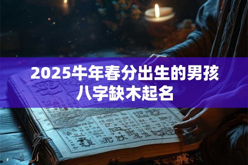 2025牛年春分出生的男孩八字缺木起名