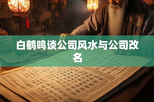 白鹤鸣谈公司风水与公司改名