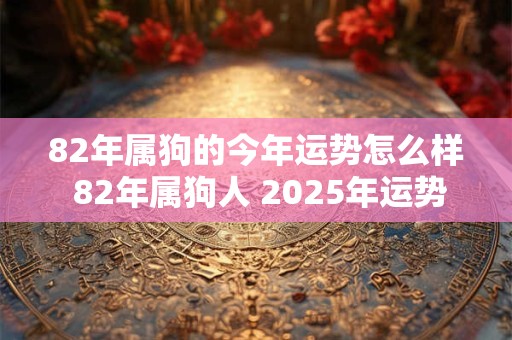 82年属狗的今年运势怎么样 82年属狗人 2025年运势如何