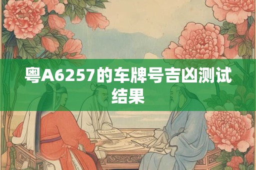 粤A6257的车牌号吉凶测试结果
