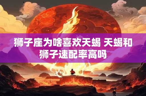 狮子座为啥喜欢天蝎 天蝎和狮子速配率高吗