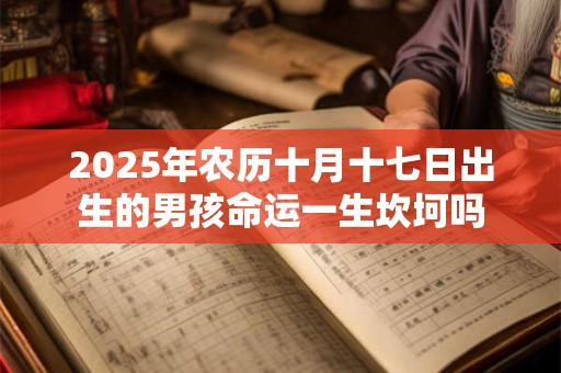 2025年农历十月十七日出生的男孩命运一生坎坷吗