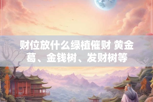 财位放什么绿植催财 黄金葛、金钱树、发财树等