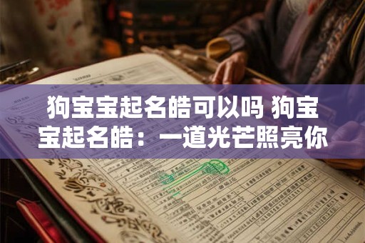 狗宝宝起名皓可以吗 狗宝宝起名皓：一道光芒照亮你的生活