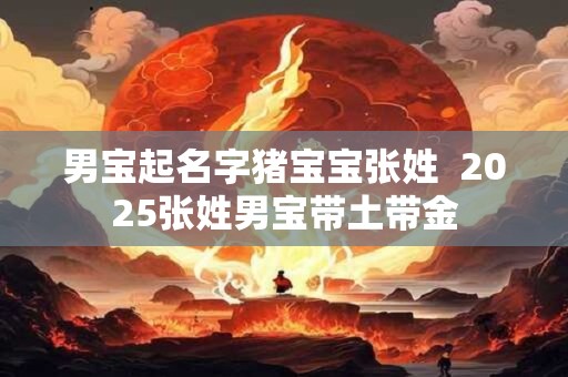 男宝起名字猪宝宝张姓  2025张姓男宝带土带金