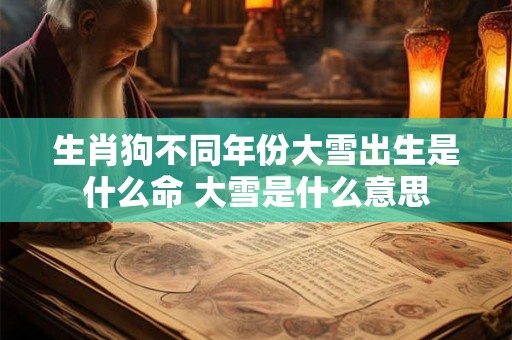 生肖狗不同年份大雪出生是什么命 大雪是什么意思