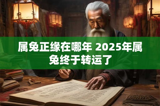 属兔正缘在哪年 2025年属兔终于转运了