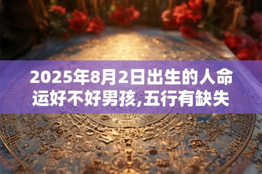 2025年8月2日出生的人命运好不好男孩,五行有缺失吗