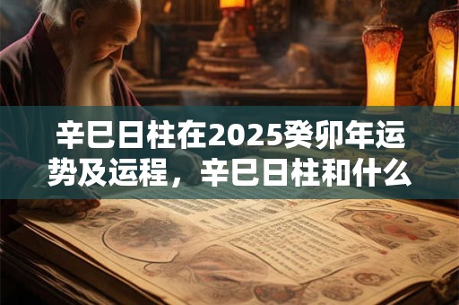 辛巳日柱在2025癸卯年运势及运程，辛巳日柱和什么日柱最配？