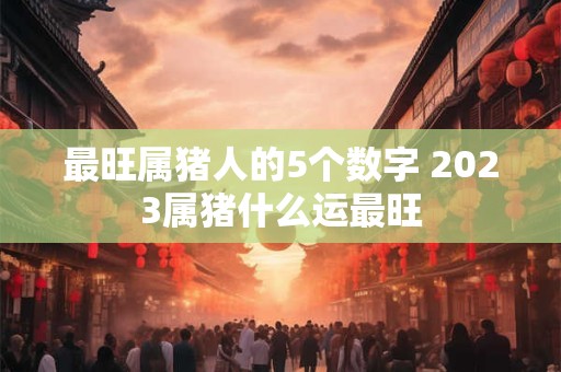 最旺属猪人的5个数字 2023属猪什么运最旺