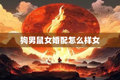 狗男鼠女婚配怎么样女
