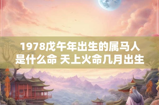 1978戊午年出生的属马人是什么命 天上火命几月出生最好