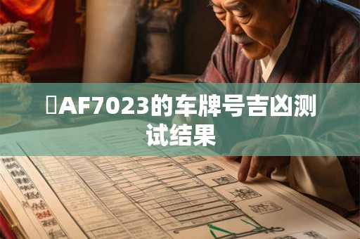 粵AF7023的车牌号吉凶测试结果