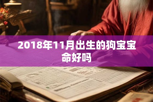 2018年11月出生的狗宝宝命好吗