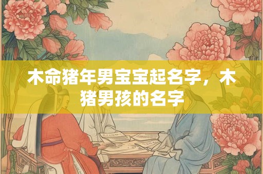 木命猪年男宝宝起名字，木猪男孩的名字