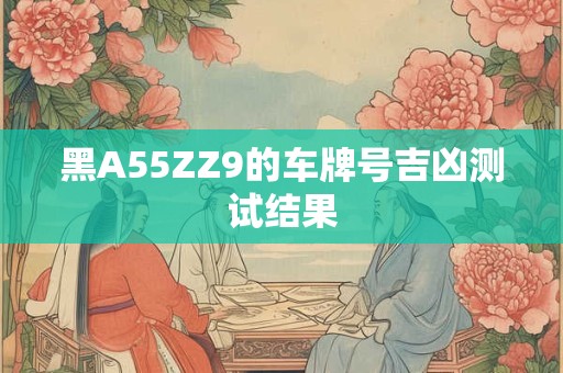 黑A55ZZ9的车牌号吉凶测试结果