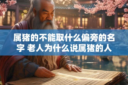 属猪的不能取什么偏旁的名字 老人为什么说属猪的人有福气