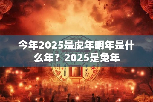 今年2025是虎年明年是什么年？2025是兔年