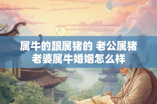 属牛的跟属猪的 老公属猪老婆属牛婚姻怎么样