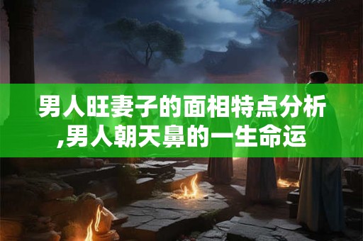 男人旺妻子的面相特点分析,男人朝天鼻的一生命运