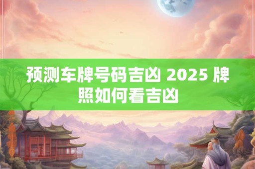 预测车牌号码吉凶 2025 牌照如何看吉凶