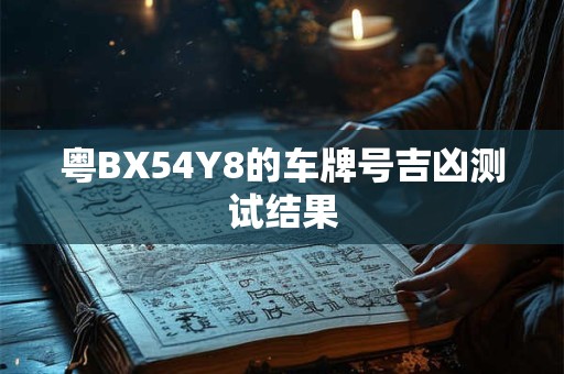 粤BX54Y8的车牌号吉凶测试结果